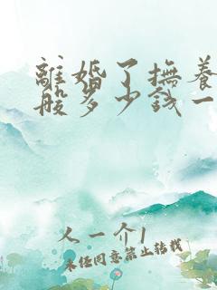 离婚了抚养费一般多少钱一个月