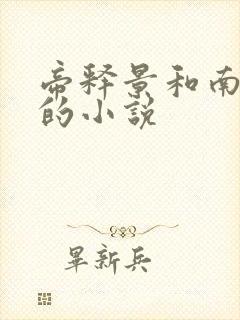 帝释景和南知意的小说