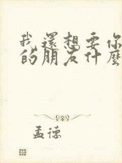 我还想要你这样的朋友什么歌