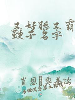 又好听又霸气的鞭子名字