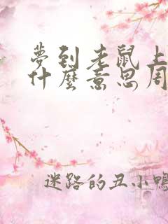 梦到老鼠上身是什么意思周公解梦