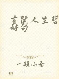 有关人生哲理的好句