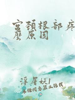 宫颈根部疼是什么原因