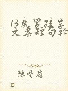 13岁男孩生日文案短句干净