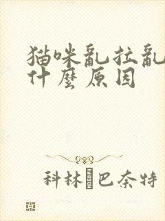 猫咪乱拉乱尿是什么原因