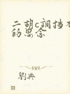 二胡c调挡不住的思念
