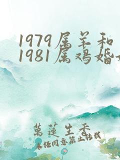 1979属羊和1981属鸡婚姻怎样