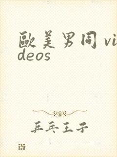 欧美男同 videos