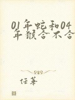 01年蛇和04年猴合不合