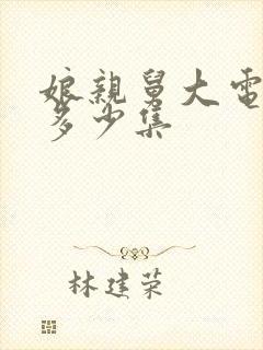 娘亲舅大电视剧多少集