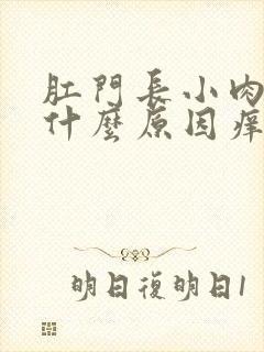 肛门长小肉球是什么原因痒