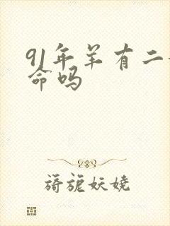 91年羊有二婚命吗
