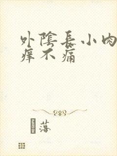 外阴长小肉粒不痒不痛