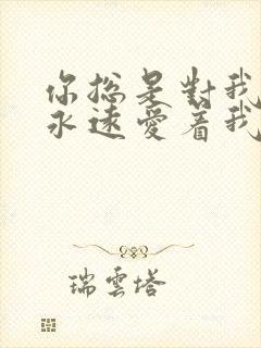 你总是对我说你永远爱着我什么歌