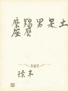 摩羯男是土象星座么