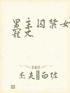 男主囚禁女主的宠文