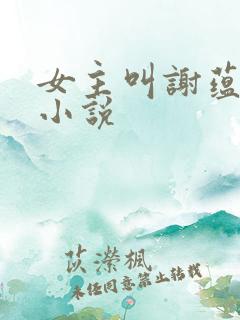 女主叫谢蕴昭的小说