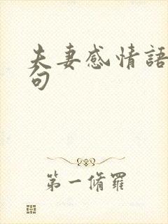 夫妻感情语录短句