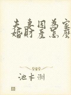 夫妻因为家暴离婚财产怎么分配