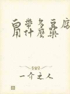 白带多豆腐渣状用什么药