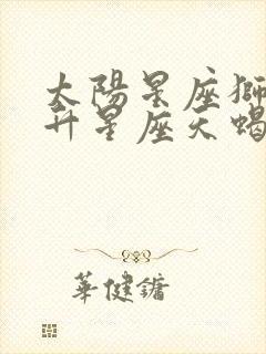 太阳星座狮子上升星座天蝎月亮星座水瓶