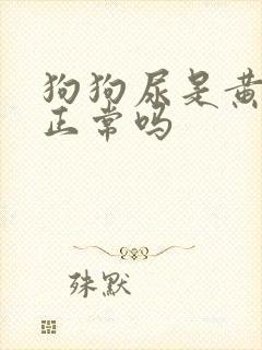 狗狗尿是黄色的正常吗