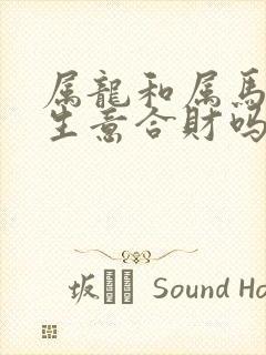 属龙和属马的做生意合财吗