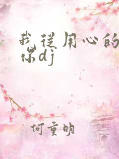 我从用心的爱着你dj