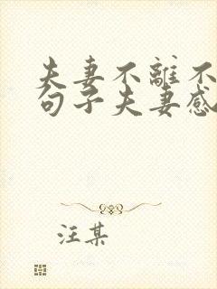 夫妻不离不弃的句子夫妻感情