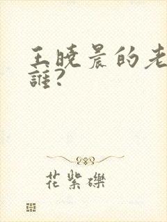 王晓晨的老公是谁?