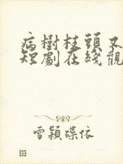 病树枝头又逢春短剧在线观看