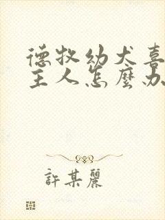 德牧幼犬喜欢咬主人怎么办