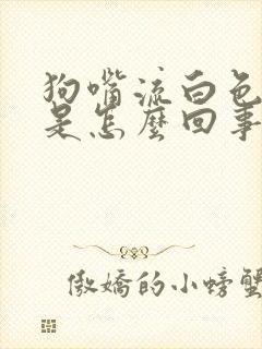 狗嘴流白色粘液是怎么回事