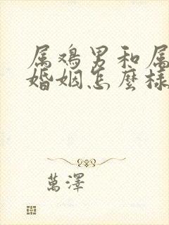 属鸡男和属羊女婚姻怎么样