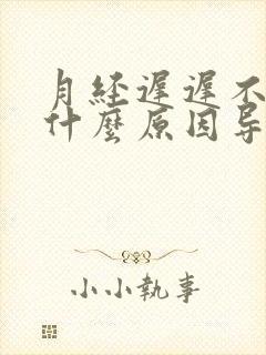 月经迟迟不来是什么原因导致的