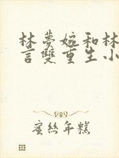 林梦婉和林煜古言双重生小说