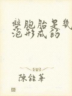 双胞胎是几个卵泡形成的