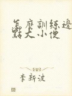 怎么训练边牧定点大小便