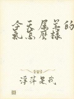 今天属羊的人运气怎么样