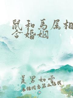 鼠和马属相合不合婚姻