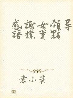 感谢女领导的话语朴实点