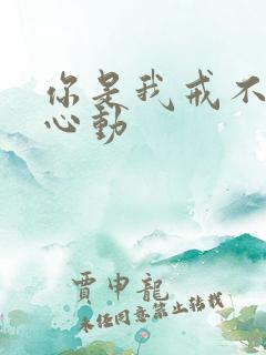 你是我戒不掉的心动