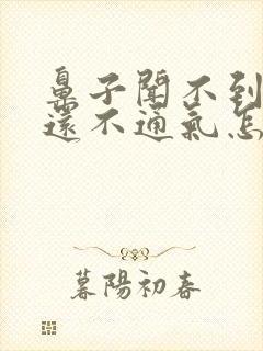 鼻子闻不到味道还不通气怎么办