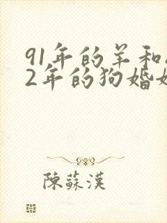 91年的羊和82年的狗婚姻怎么样