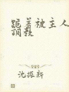 跪着被主人惩罚调教