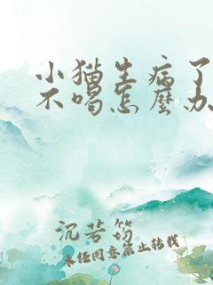 小猫生病了不吃不喝怎么办