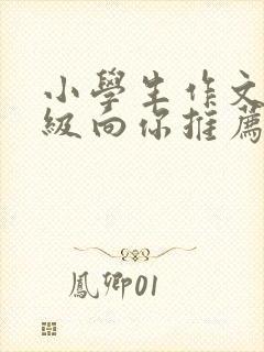 小学生作文二年级向你推荐一部动画片