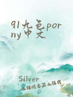 91九色porny中文
