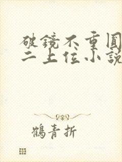破镜不重圆 男二上位小说推荐