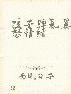 孩子脾气暴躁易怒情绪